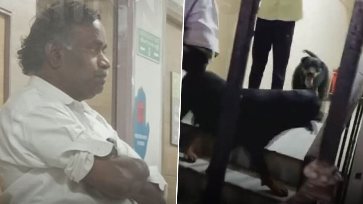 Minor Girl Injured After Bitten By Pet Dog: வளர்ப்பு நாய் கடித்து 5 வயது சிறுமி படுகாயம்; மருத்துவ செலவை அதன் உரிமையாளர் ஏற்றுக்கொள்வதாக வாக்குறுதி..!
