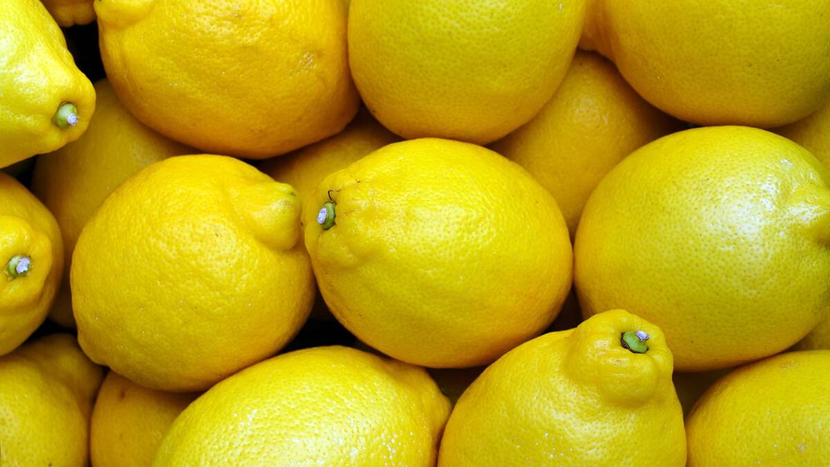 Benefits Of Lemon: உடலுக்கு பல நன்மைகளை அளிக்கும் எலுமிச்சை பழத்தின் பயன்கள்..!