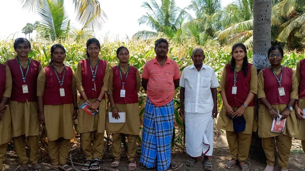Rural Agriculture Training: கிராமப்புற வேளாண்மை பயிற்சி.. விதை உரக்கட்டு தொழில்நுட்பம் பற்றி விளக்கம் அளித்த வேளாண் கல்லூரி மாணவிகள்..!