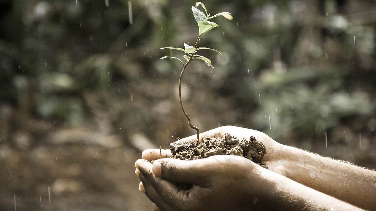 Safety Precautions During Rains: வெளுத்து வாங்கும் மழை.. நாம் மழையில் நம்மை பாதுகாத்துக் கொள்ளும் வழிமுறைகள் எவை?.!