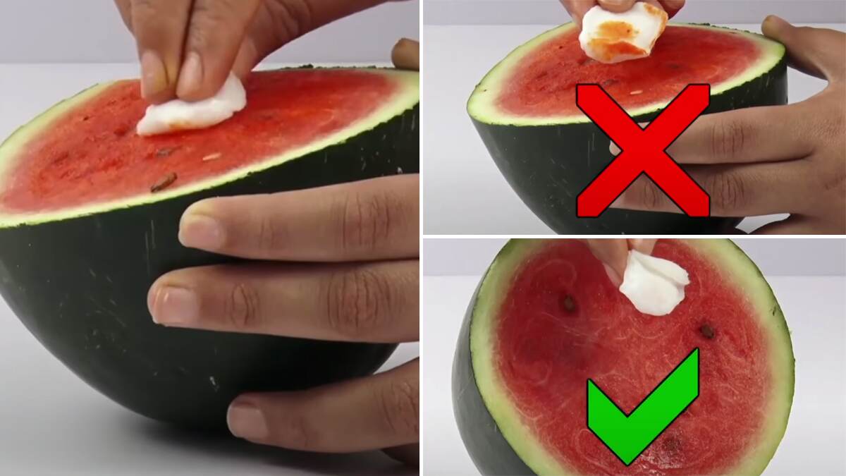 Adulteration in Watermelon: தர்பூசணியில் சாய கலப்படத்தை எப்படி தெரிந்துகொள்வது?.. சிம்பிள் டிப்ஸ் இதோ.!