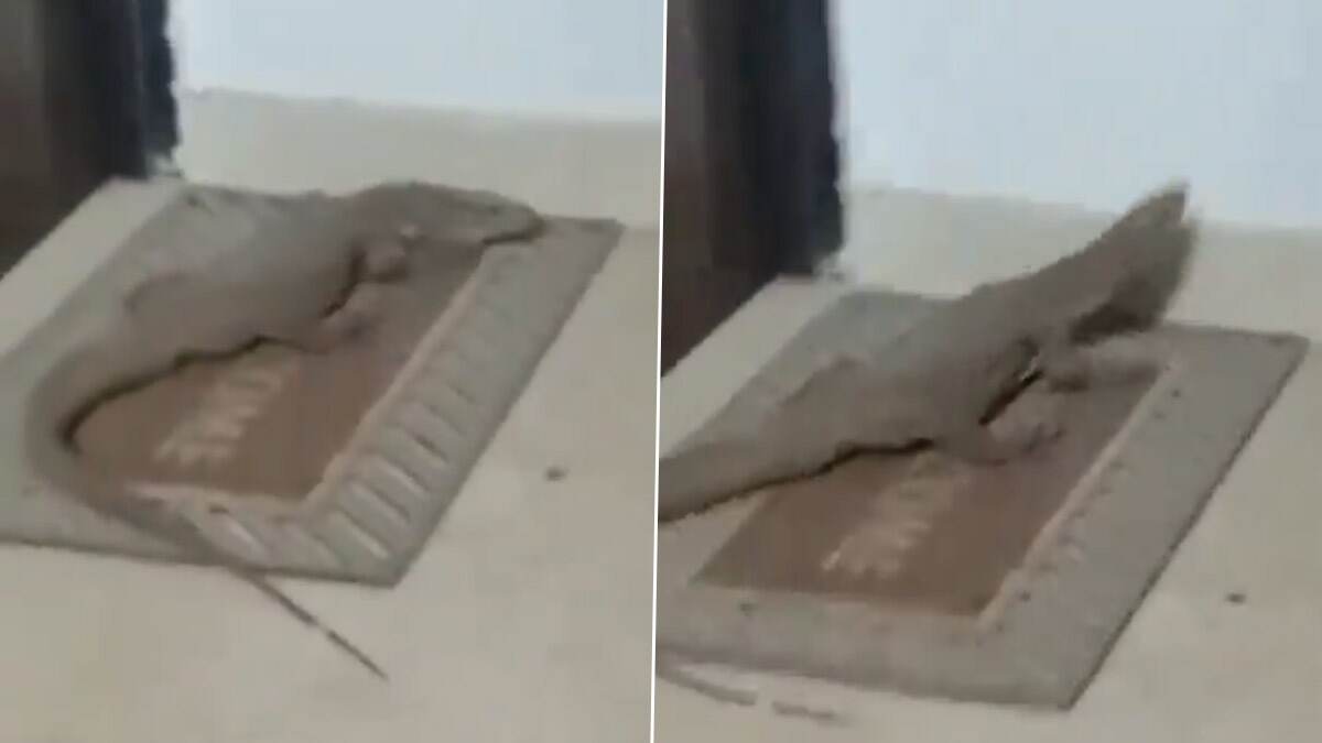Crocodile In VVIP Area: விவிஐபிக்கள் வீட்டிற்குள் புகுந்த முதலையார்; தலைதெறிக்க ஓட்டம்பிடித்த சம்பவம்.!