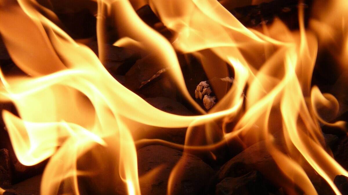 Petrol Bomb Attack On Govt Bus: அரசு பேருந்து மீது பெட்ரோல் குண்டு வீசிய வாலிபர் கைது..!