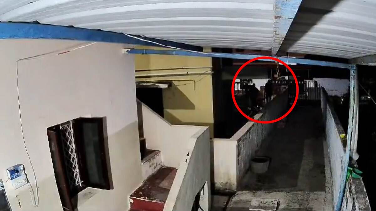 Masked Robbers Loot: திருப்பூர் மடத்துக்குளத்தில் கொள்ளையர்கள் கைவரிசை.. வைரலாகும் சிசிடிவி வீடியோ..!