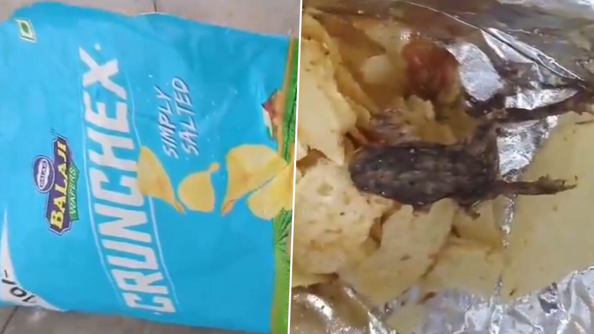 Frog Found on Chips: உங்க வீட்டு சுட்டீஸ்-க்கு ஆசையா சிப்ஸ் வாங்கி கொடுக்குறீங்களா? சிப்ஸ் பாக்கெட்டில் கிடந்த தவளை..!