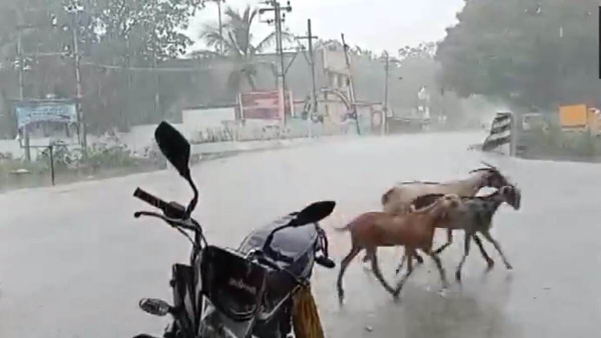 TN Weather Update: திருப்பூர், தேனி, திண்டுக்கல், தென்காசி, திருநெல்வேலி மாவட்டங்களில் கனமழை.. சென்னை வானிலை ஆய்வு மையம் அறிவிப்பு..!