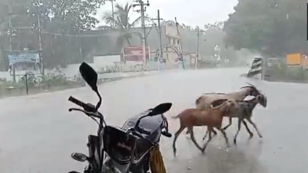 TN Weather Update: காலை 10 மணிவரை 4 மாவட்டங்களில் இடி-மின்னலுடன் மழை; வானிலை ஆய்வு மையம் அறிவிப்பு.!