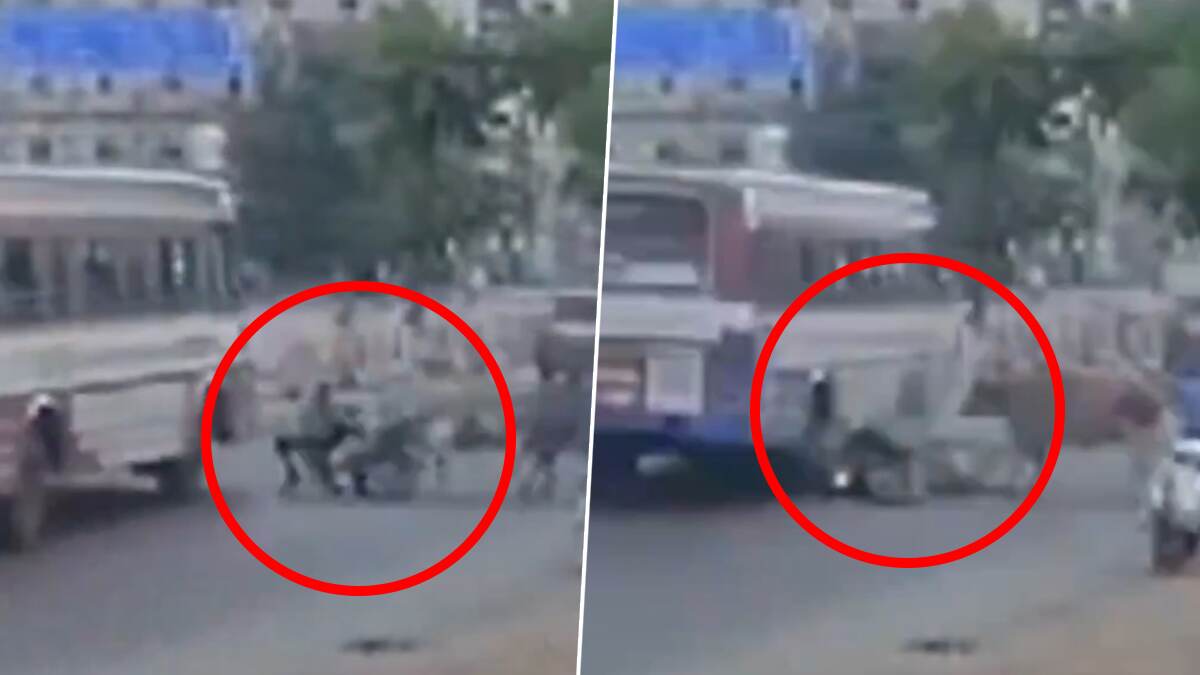 Two-Wheeler Rider Dies: தெருவில் சுற்றித்திரிந்த மாடு எமனான துயரம்; நீதிமன்ற ஊழியர் பேருந்தின் சக்கரத்தில் சிக்கி மரணம்.!