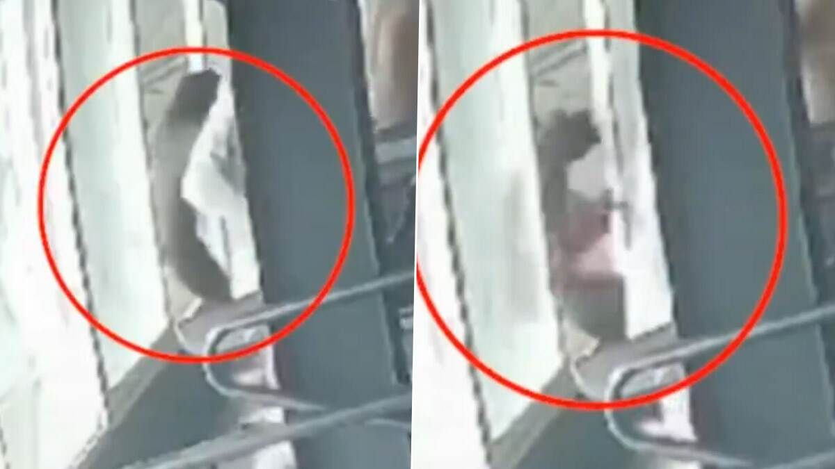 Woman Death In Gym: ஜிம்மில் உடற்பயிற்சி செய்த பெண் ஜன்னல் வழியாக கீழே விழுந்து பலி..! வீடியோ வைரல்..!