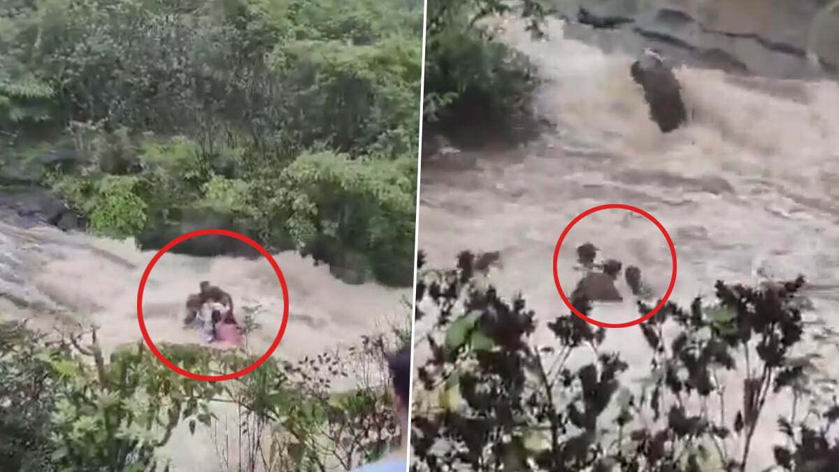 Family Drowned into Flash Flood: காட்டாற்று வெள்ளத்தில் அடித்து செல்லப்பட்ட 4 குழந்தைகள்.. இன்பச்சுற்றுலாவில் ஐவர் பலி.. நெஞ்சை பதறவைக்கும் இறுதி நிமிட வீடியோ.!