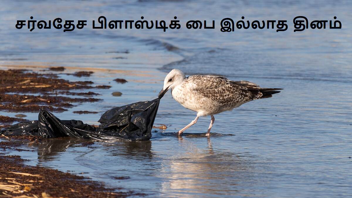International Plastic Bag Free Day 2024: 