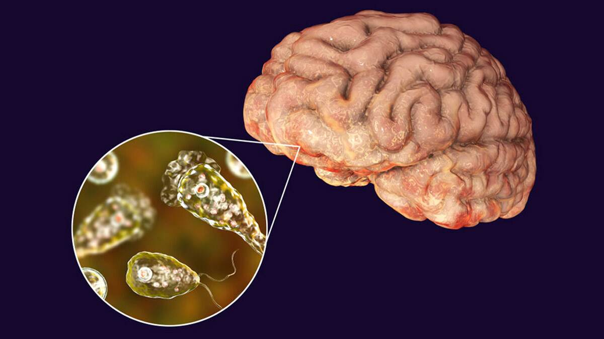 Brain Eating Amoeba: மூக்கு வழியாக நுழைந்து மூளையை தாக்கும் அமீபா.. தமிழக அரசின் அறிவிப்பு..!