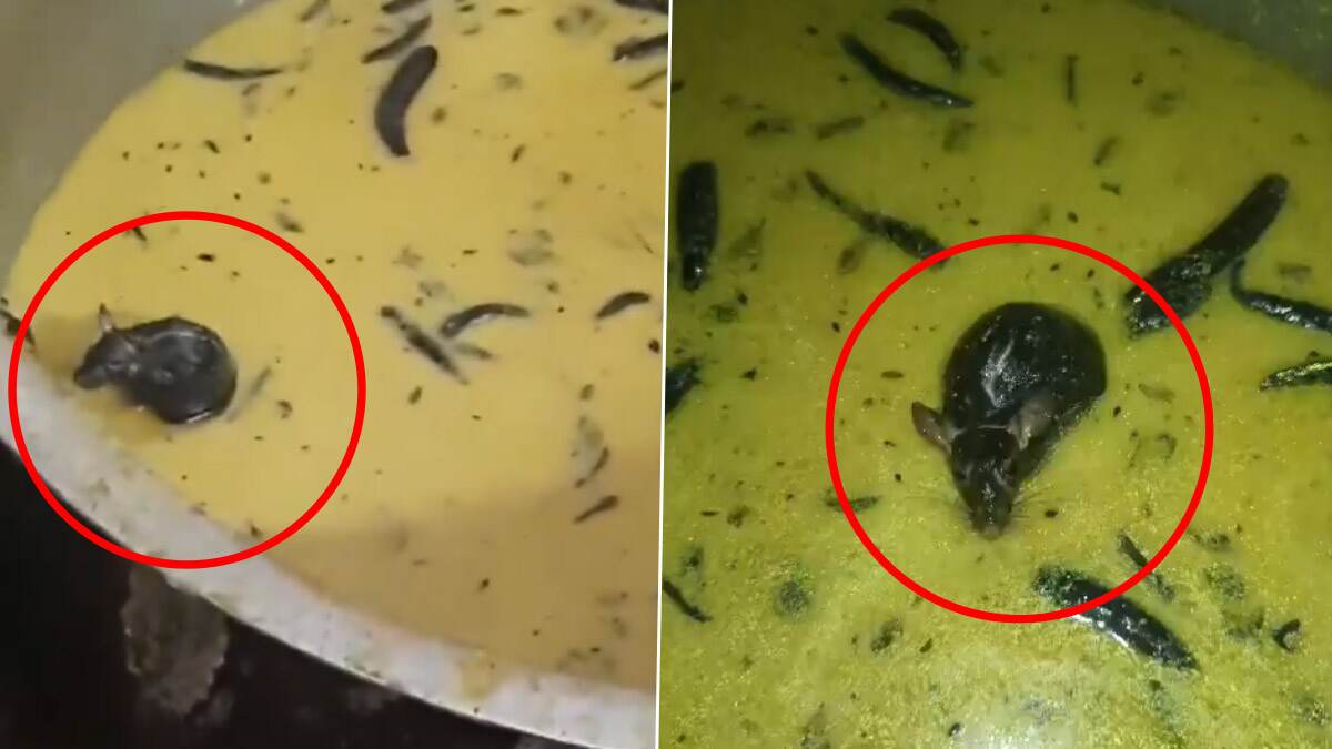 Live Rat Found In Chutney: சட்னியில் மிதந்த உயிருள்ள எலி.. பீதியை கிளப்பும் அடுத்தடுத்த குற்றச்சாட்டுகள்..!