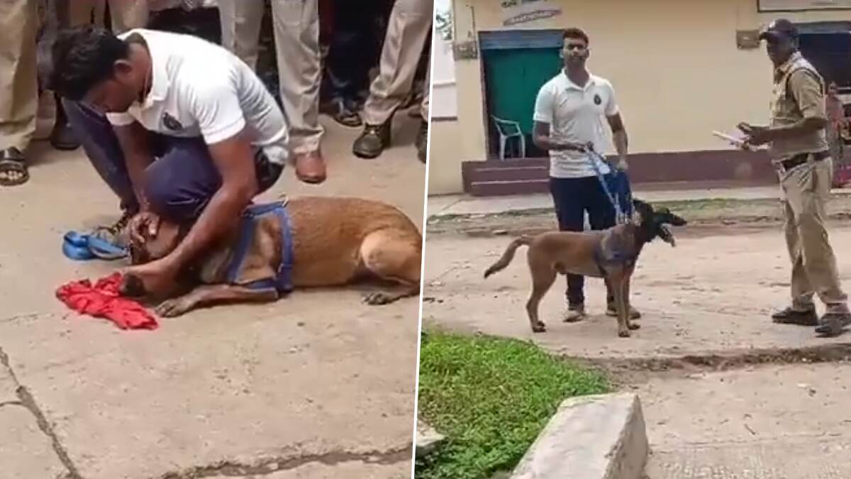 8 Year Old Girl Gang Rape & Murder: 8 வயது சிறுமியை பலாத்காரம் செய்து கொன்ற 3 சிறார்கள்.. பிஞ்சிலே பழுத்த 12 & 13 வயது காம பிசாசுகளால் பயங்கரம்.!