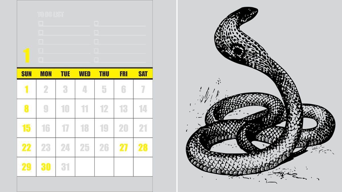 Snake Bites Young Man on 7th Time: 40 நாட்களில் 7 முறை கடித்த பாம்பு; விடாது கருப்பாக துரத்தித்துரத்தி தாக்குதல்.. ஊசலாடும் உயிர்.!