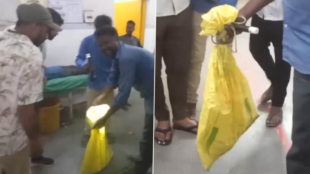 Youth Bitten by a Snake: தன்னை கடித்த பாம்புடன் சிகிச்சைக்காக மருத்துவமனை வந்த இளைஞர்; உயிர்காத்த மருத்துவர்கள்.!