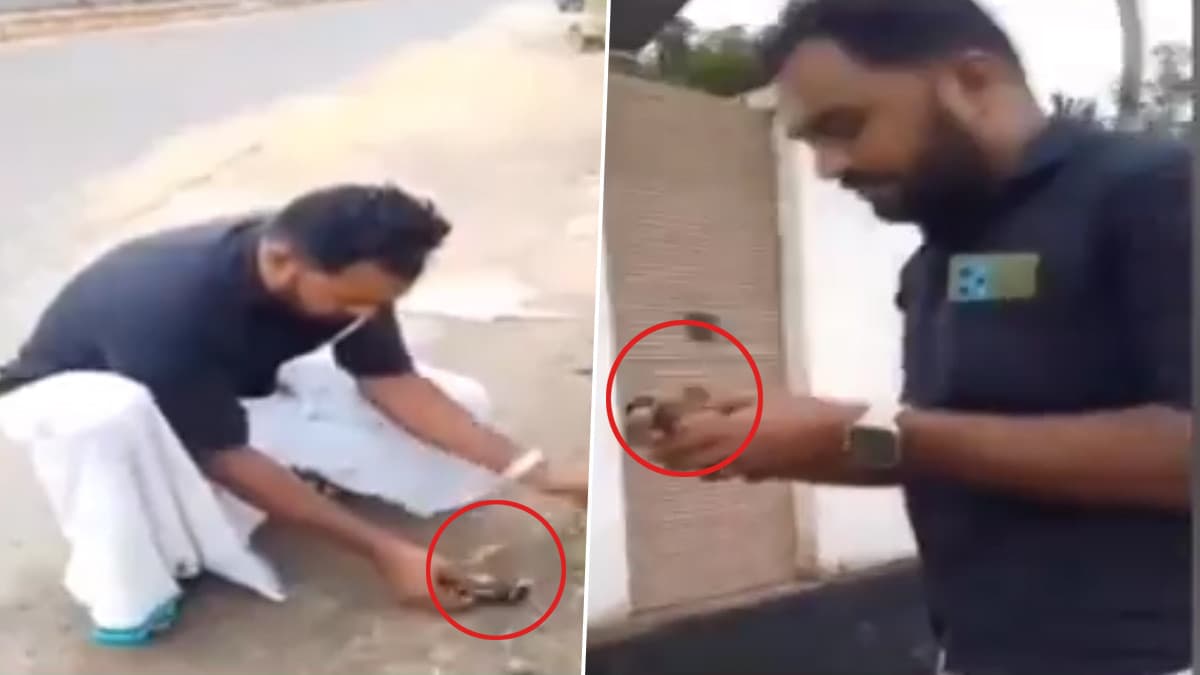 CPR Treatment For Myna: சாலையோரம் மயங்கி கிடந்த மைனா; சிபிஆர் சிகிச்சை அளித்து காப்பாற்றிய வாலிபர்.. வீடியோ வைரல்..!