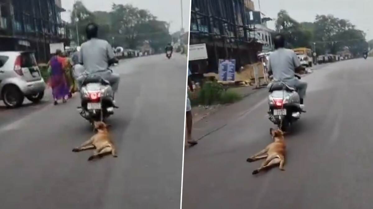 Shocking Video: உயிரிழந்த நாயின் உடலை சாலையில் கயிறுகட்டி இழுத்துச்சென்ற கொடுமை; பதறவைக்கும் காட்சிகள்.!
