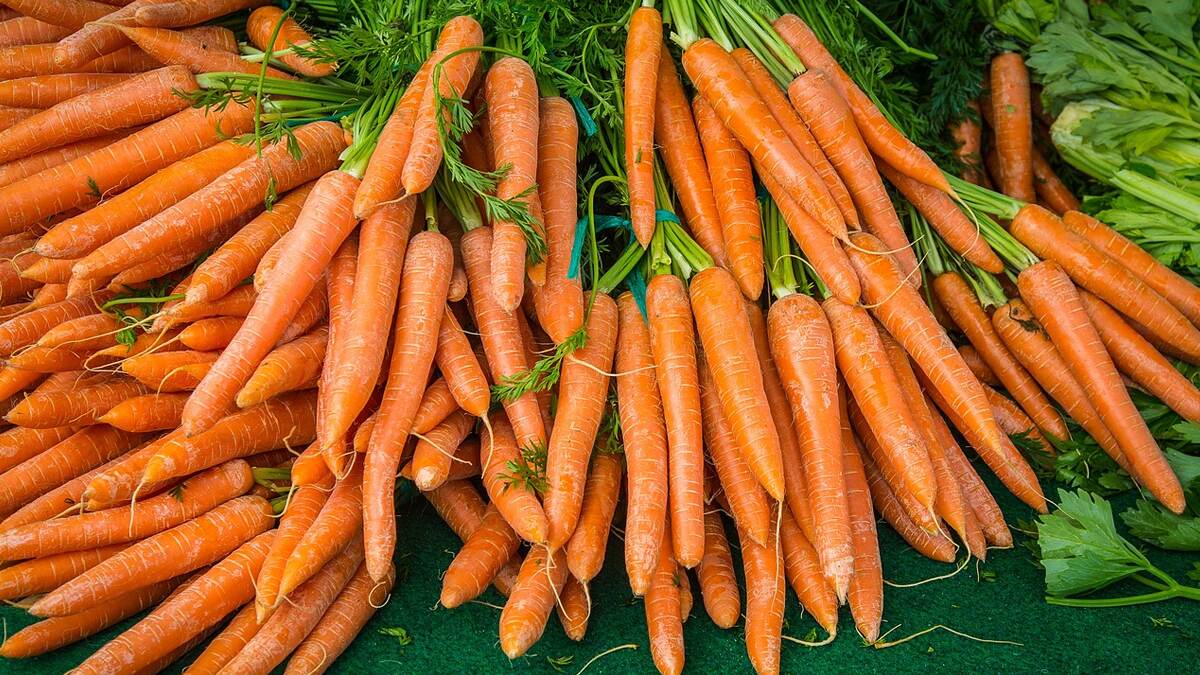 Benefits of Carrots: கேரட்டை பச்சையாக சாப்பிடுவது நல்லதா? கெட்டதா? அதன் நன்மைகள் என்னென்ன..?