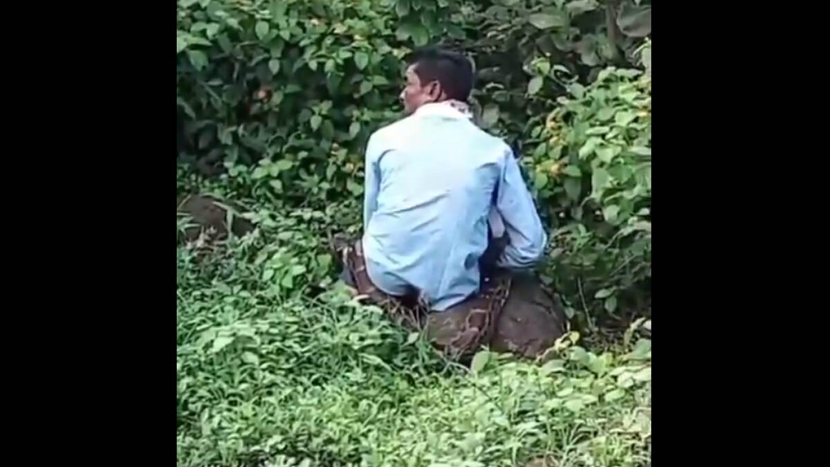 Viral Video: மலைப்பாம்பிடம் சிக்கி உயிர் தப்பிய இளைஞர்: இயற்கை உபாதையை கழிக்கச்சென்ற இடத்தில் திகில் சம்பவம்.!