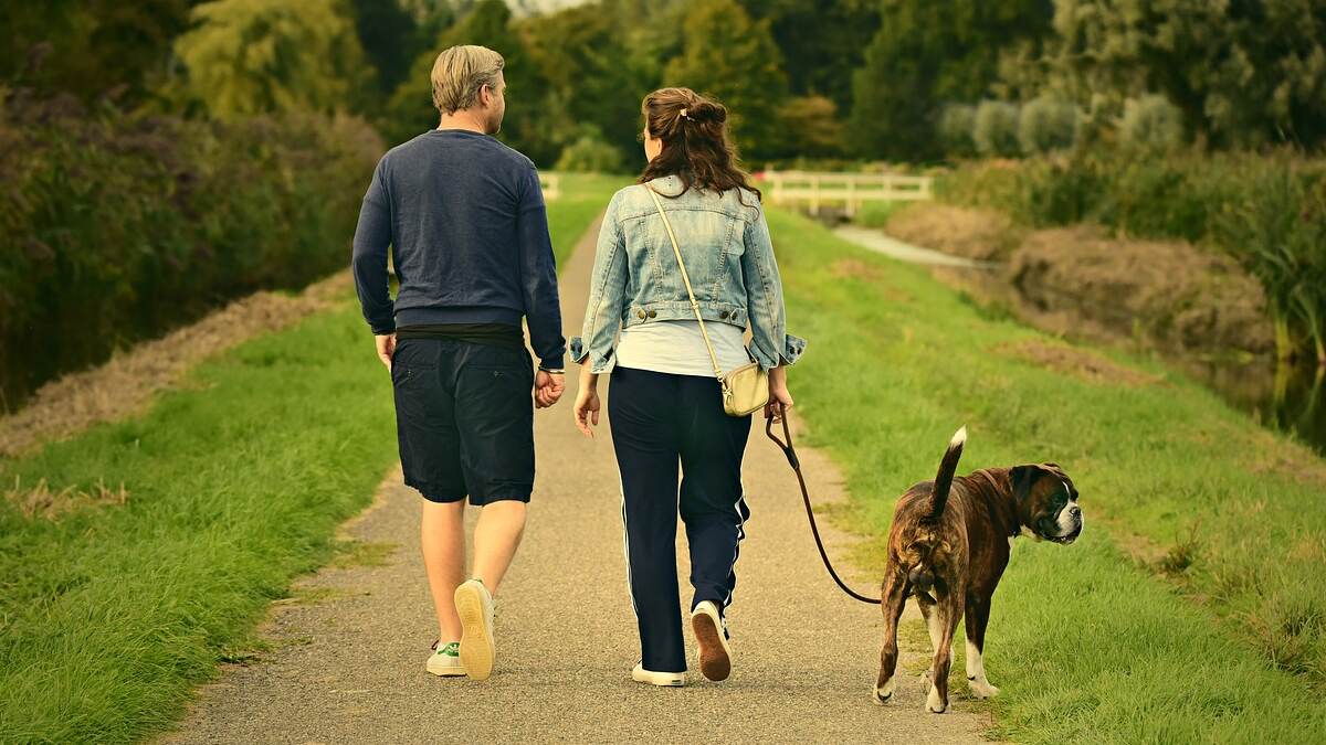 Walking Tips: உணவு சாப்பிட்டபின் சின்ன வால்கிங் பயணம்; ஏற்படும் நன்மைகள் தெரியுமா?.!