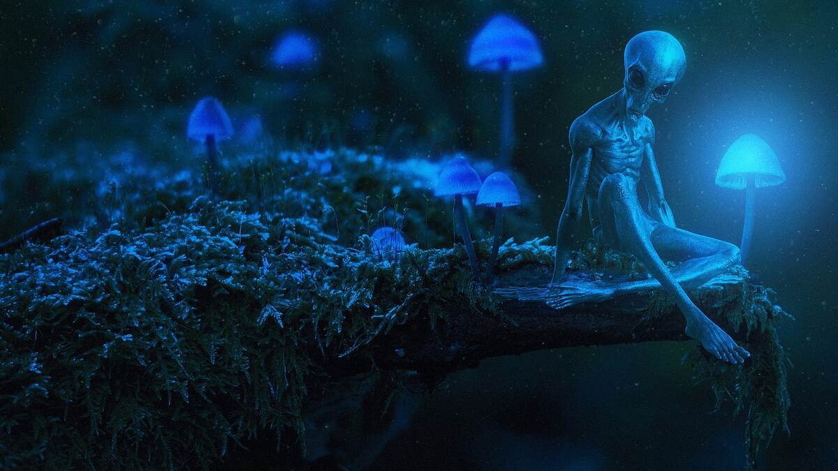 Alien Temple In Salem: ஏலியனுக்கு கோவில் கட்டி அலப்பறை செய்யும் நபர்.. சேலத்தில் பரபரப்பு..!