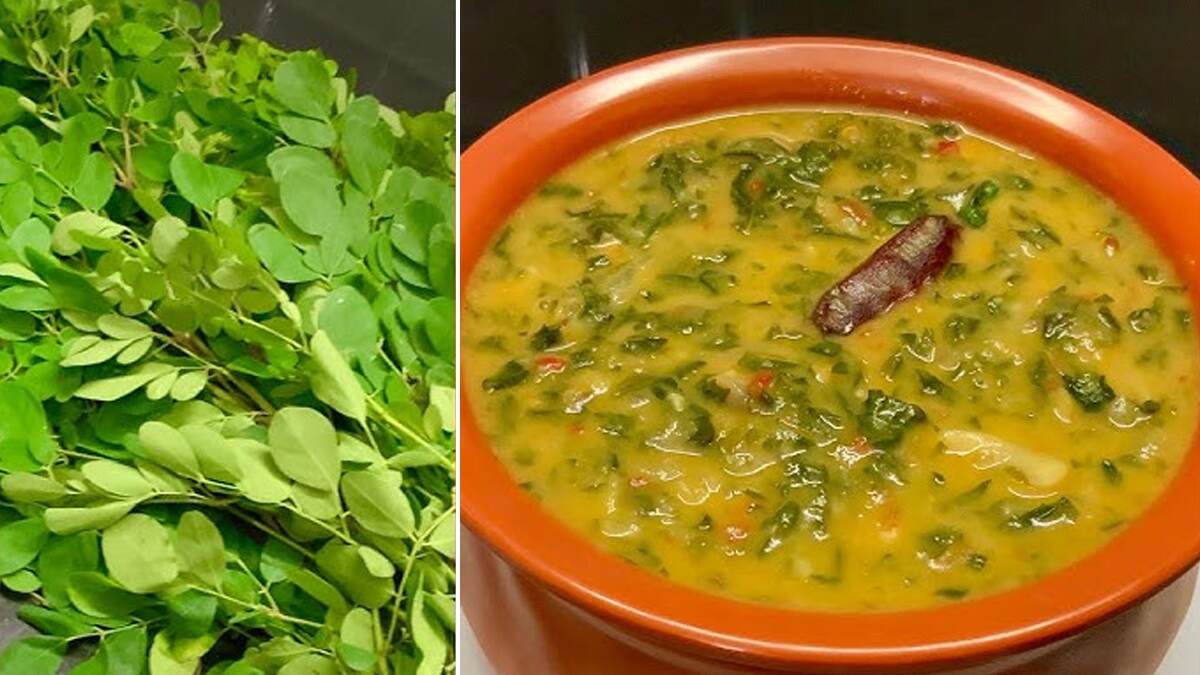 Murungai Keerai Kulambu Recipe: உடலுக்கு சத்தான முருங்கை கீரை குழம்பு செய்வது எப்படி..? விவரம் உள்ளே..!