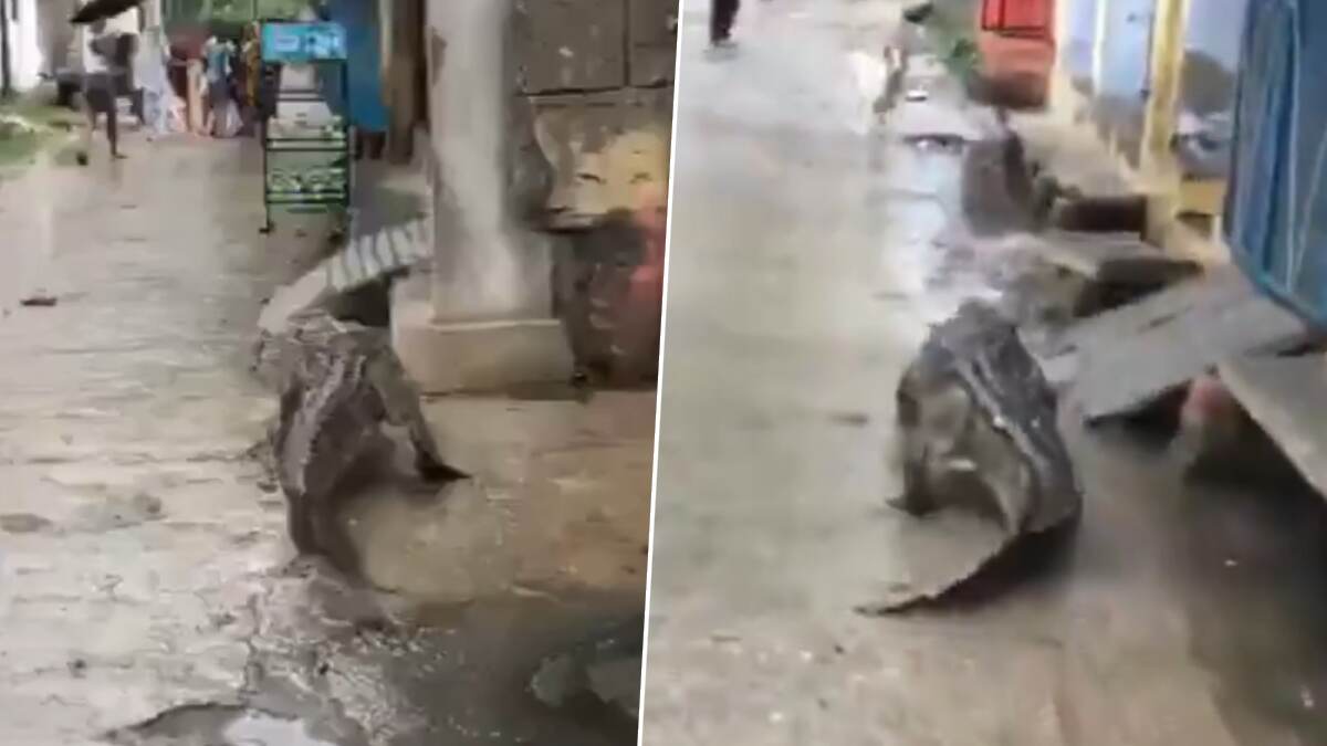 Crocodile Visits Village: என்ன பங்காளிகளா சௌக்கியமா? கிராமத்தில் புகுந்து ரைடு விட்ட முதலையார்.!