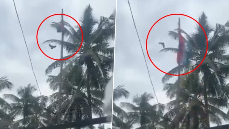 Trending Video: கொடிமரத்தின் உச்சியில் சிக்கிக்கொண்ட தேசியக்கொடியை சரிசெய்த பறவை; வியக்க வைக்கும் வீடியோ வைரல்.!