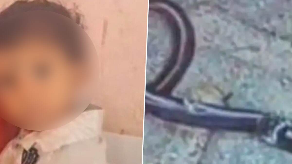 Child Killed A Snake: பாம்பினைக் கடித்து துப்பிய ஒரு வயது குழந்தை.. அதிர்ந்த வைத்தியர்கள்..!