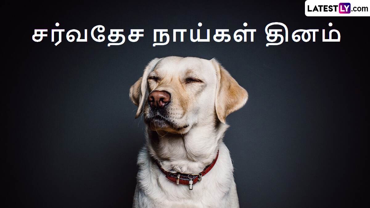 International Dog Day 2024: 