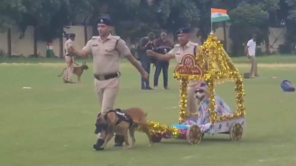 Dog Show At Railway Stadium: 78வது சுதந்திர தின கொண்டாட்டம்.. ரயில்வே ஸ்டேடியத்தில் நாய் கண்காட்சி..!