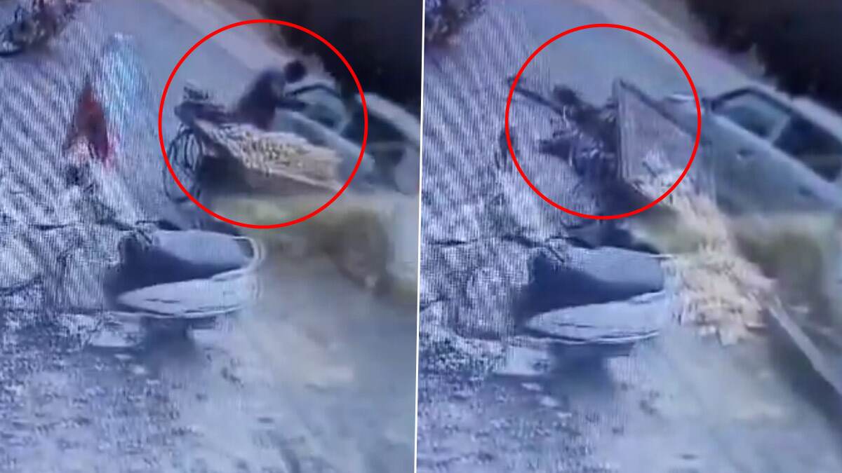 Electric Pole Fall Down: மின்கம்பம் கீழே விழுந்து வியாபாரி படுகாயம்; நெஞ்சை பதறவைக்கும் காட்சி.. நொடியில் துயரம்.!
