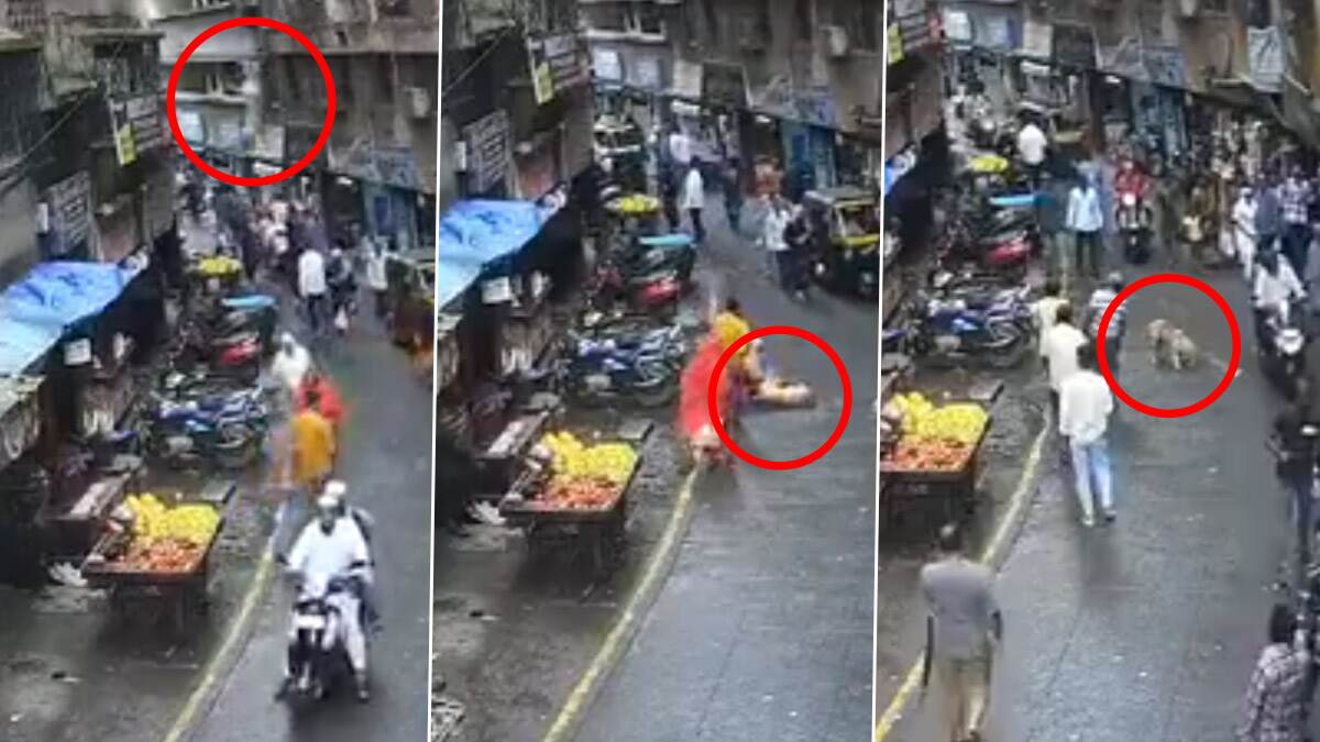 3-Year-Old Girl Dies After Dog Falls on Her: மாடியில் இருந்து விழுந்த நாய்.. பரிதாபமாக உயிரிழந்த 3 வயது சிறுமி.. நெஞ்சை பதறவைக்கும் வீடியோ..!
