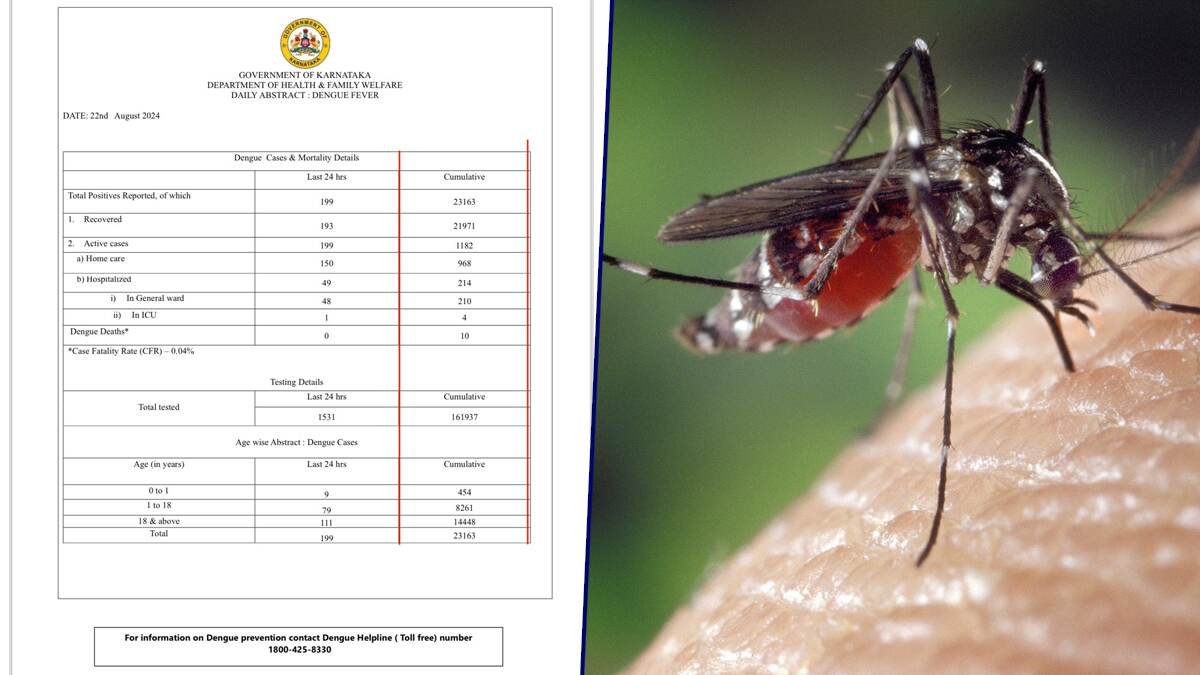 Dengue Fever: பெங்களூர்வாசிகளுக்கு மிகப்பெரிய எச்சரிக்கை.. 10,500 பேருக்கு டெங்கு உறுதி.. சுகாதாரத்துறை அறிவிப்பு.!