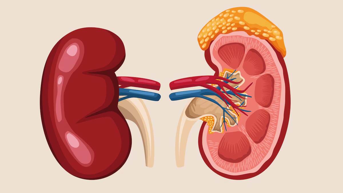 TN Organ Donation: உடல் உறுப்புக்காக காத்திருக்கும் பலர்.. உடல் உறுப்பு தானம் கட்டாயம்..!