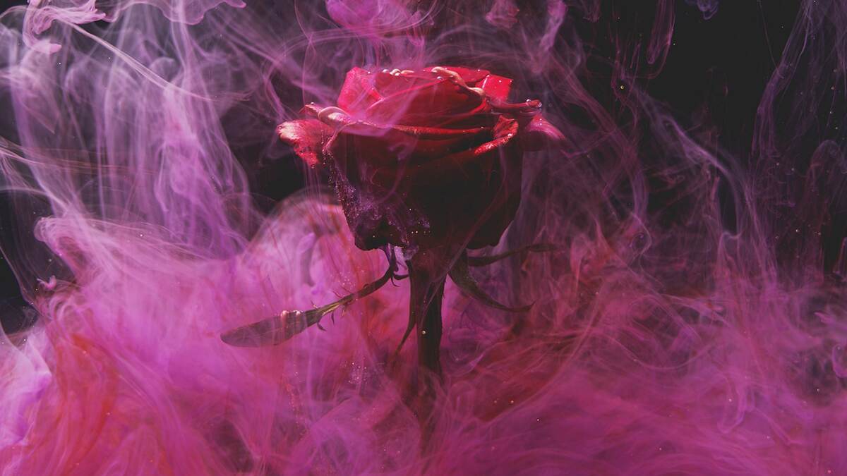 How to Make Rose Water: வீட்டிலேயே 'ரோஸ் வாட்டர்' தயாரிப்பது எப்படி? விபரம் உள்ளே..!