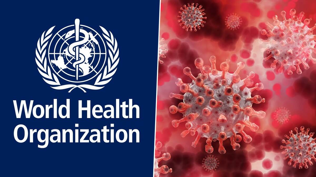 Chandipura Virus: 20 ஆண்டுகளில் இல்லாத அளவுக்கு இந்தியாவில் அதிதீவிரமாக பரவும் சண்டிபுரா வைரஸ்.. உலக சுகாதார அமைப்பு எச்சரிக்கை..!