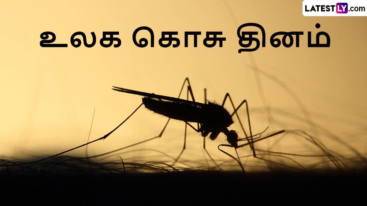 World Mosquito Day 2024: "இந்த கொசு தொல்லை தாங்க முடியலப்பா.." உலக கொசு தினம்..!