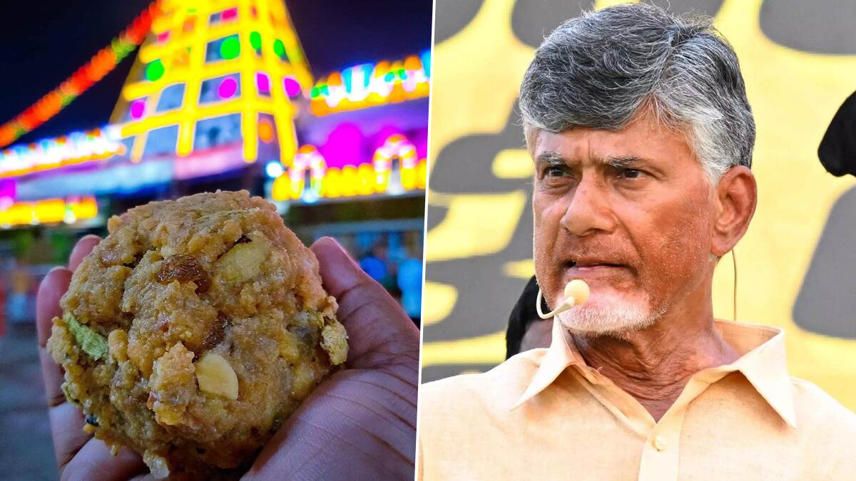 Andhra Pradesh CM Chandrababu Naidu: திருப்பதி ஏழுமலையான் கோவில் லட்டு விலங்கு கொழுப்பா? அதிர்ச்சி தந்த முதல்வர்.. முந்தைய ஆட்சியில் பகீர்.!