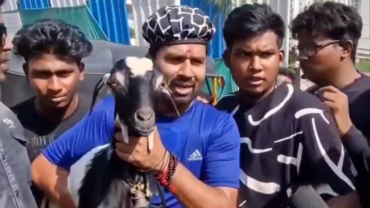 GOAT FDFS: தளபதியின் 'கோட்'க்கு உண்மையான பலியாட்டை கொண்டு வந்த கூல் சுரேஷ்.. அதிர்ச்சி அடைந்த நெட்டிசன்கள்..!
