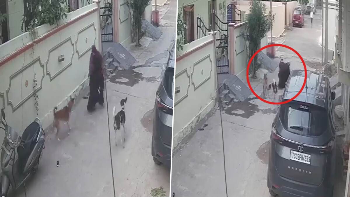 Shocking Video: சாலையில் நடந்து சென்ற பெண், குழந்தையை கொடூரமாக தாக்கிய நாய்கள்; பதறவைக்கும் காணொளி.!