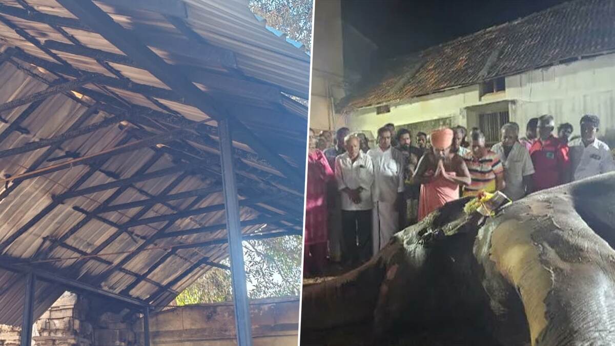 Elephant Dies: 54 வயதுடைய குன்றக்குடி கோவில் யானை தீ விபத்தில் மரணம்; நள்ளிரவில் நடந்த சோகம்.!