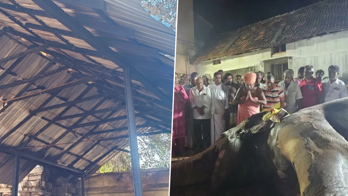 Elephant Dies: 54 வயதுடைய குன்றக்குடி கோவில் யானை தீ விபத்தில் மரணம்; நள்ளிரவில் நடந்த சோகம்.!