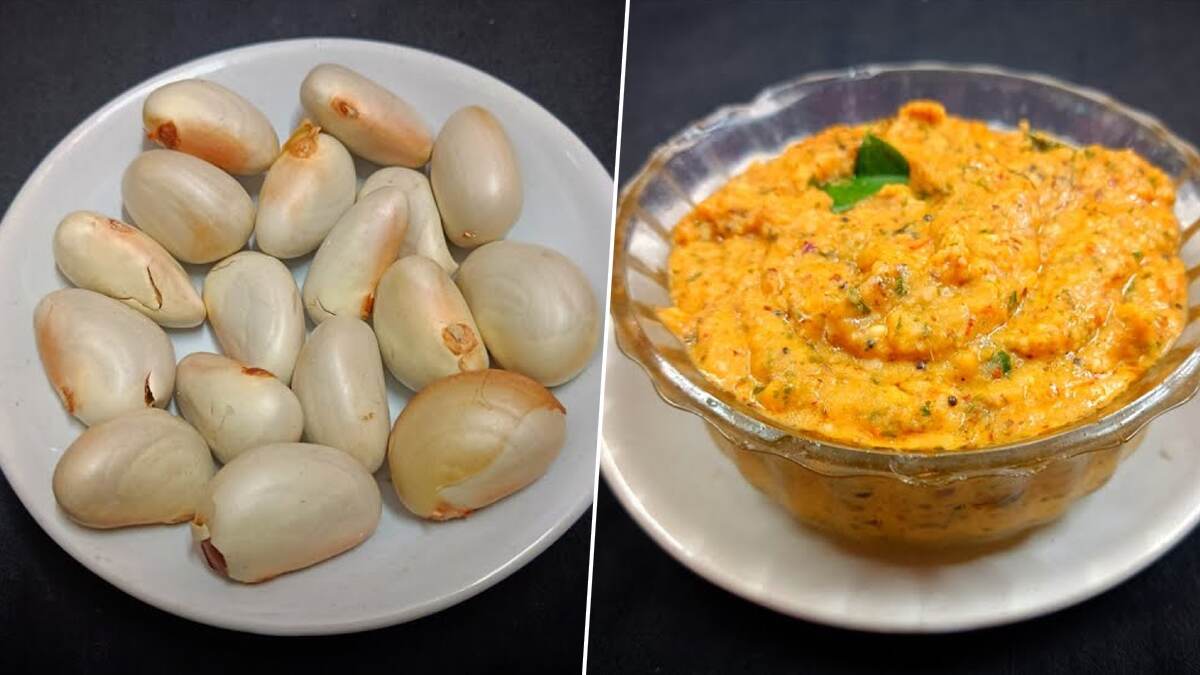 Palakottai Thuvaiyal Recipe: பலாக்கொட்டை  துவையல் சுவையாக செய்வது எப்படி..? விவரம் உள்ளே..!