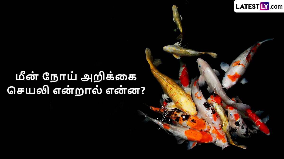 Report Fish Disease App: மீனவர்களின் வாழ்வில் ஒளியேற்ற புதிய திட்டம்: அறிமுகமானது 