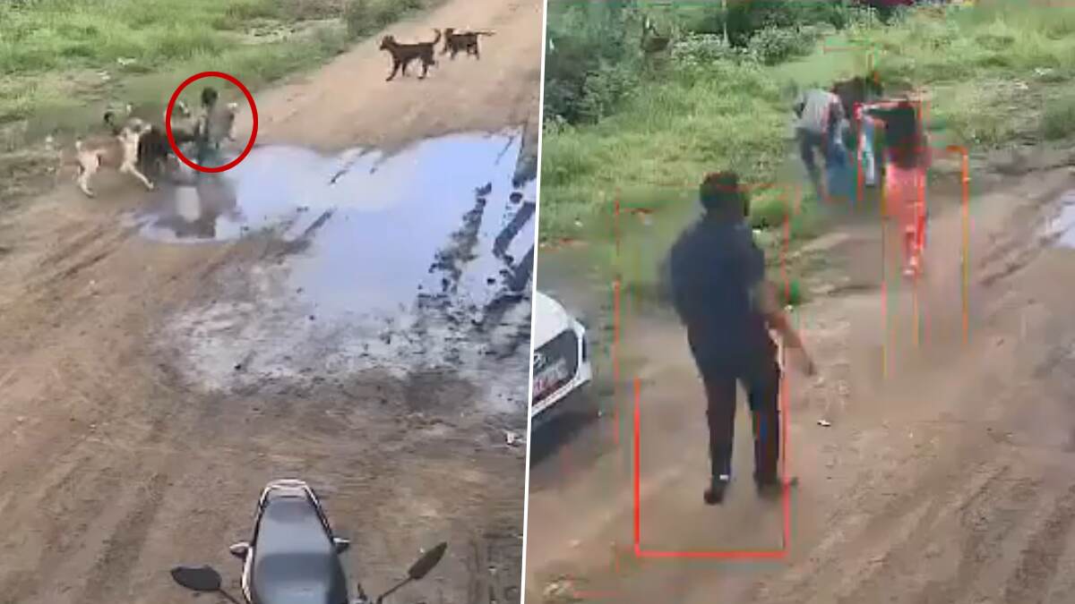 Stray Dogs Attack Child: பச்சிளம் குழந்தையை கடித்து குதறிய நாய்கள்; அதிர்ச்சி வீடியோ வைரல்..!