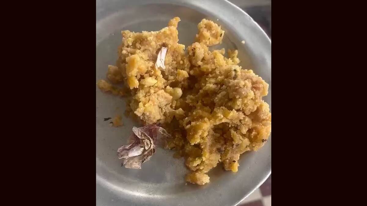 Tobacco Packet In Tirumala Laddu: திருமலை லட்டுவில் புகையிலை பாக்கெட்.. வீடியோ வைரல்..!