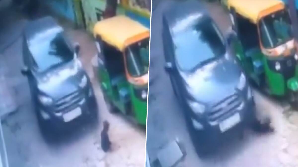 Viral Video: சாலையில் விளையாடிக் கொண்டிருந்த 3 வயது சிறுமி பலி.. அதிர்ச்சியூட்டும் வீடியோ வைரல்..!