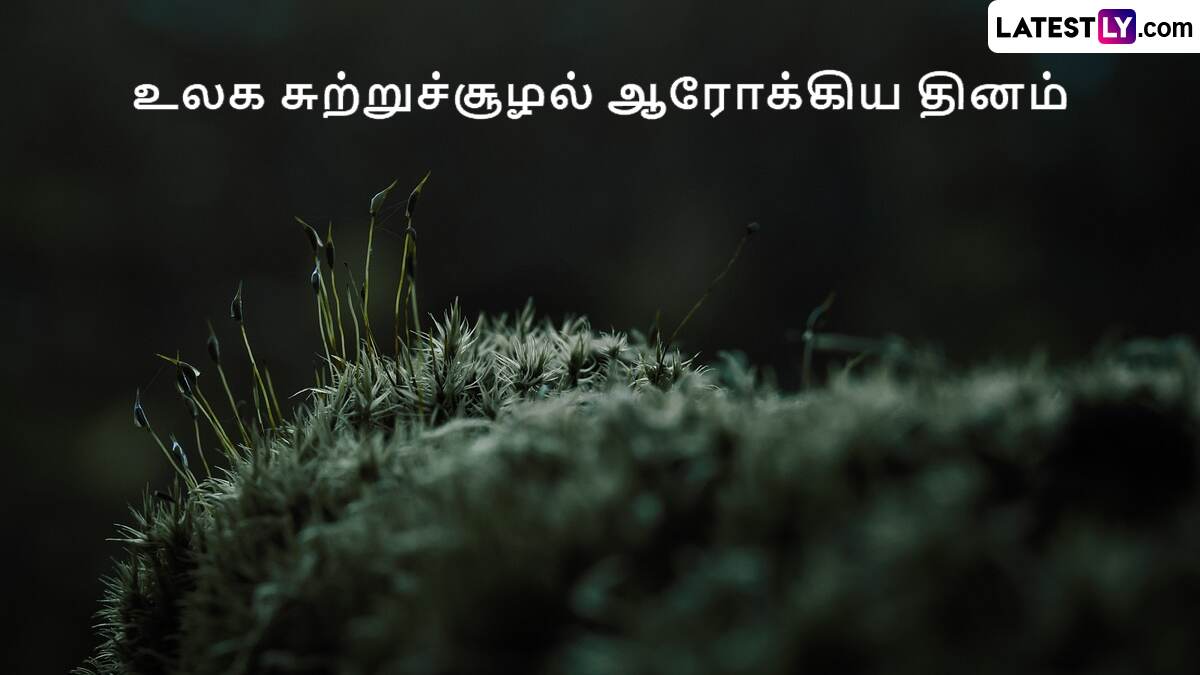 World Environmental Health Day 2024: 